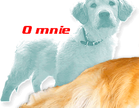 Par� s��w o mnie...